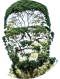 Amanguni Political Party